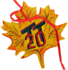 1996-TT20 badge
