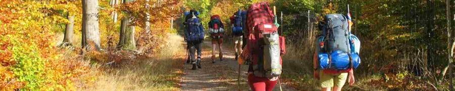 HerfstTrekTocht