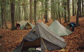 1991 horizontaal in een beukenbos