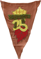 2001-TT25 vlag
